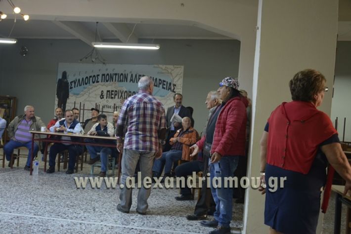 pontioi alexandreias ekloges2017008